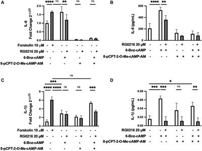 Monoamine Oxidase-B Inhibitor Reduction in Pro-Inflammatory Cytokines Mediated by Inhibition of cAMP-PKA/EPAC Signaling